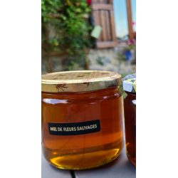 Miel Toutes fleurs de Margeride, produit en Lozère - Apiculteur